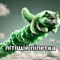 бог гитар