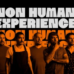 Non Human Experience