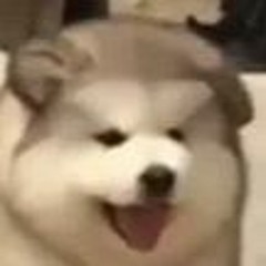 FluffyPancakes