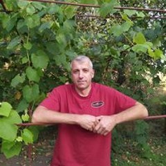 Коля Зубченко