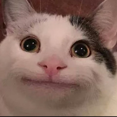 hen_tie