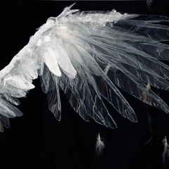 Vvoulx