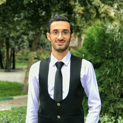 Hamed Mikaeili
