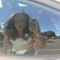 Deion