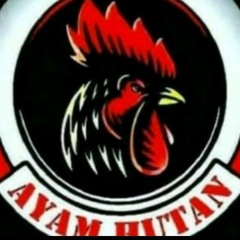 ayam hutan