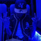 Duce Nine