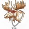 MooseTraxx Official