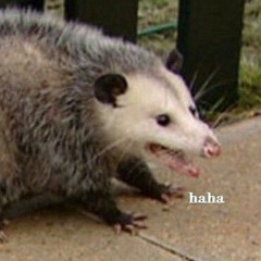 Megi uwu