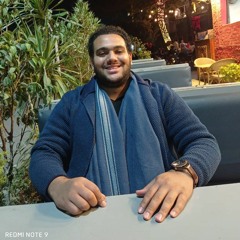 احمد فتحى