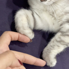 Car rides w/ tami🫶🏻