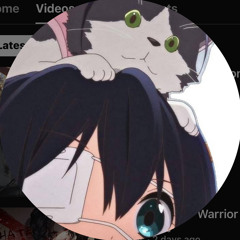 aerozune
