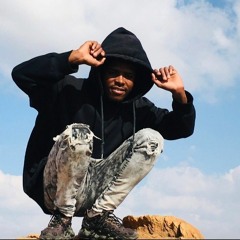 DoLLAR_T