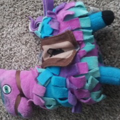 I LOVE GAVIN MAGNUS AND COCO QUIN