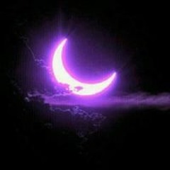 حمدي الشيخ
