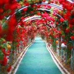 حودة اينو نفسي اخدك في حضني.m4a