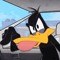 Daffy Duck The 2nd