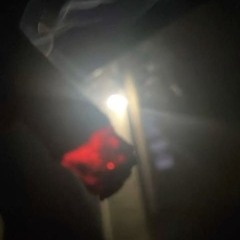7dmv