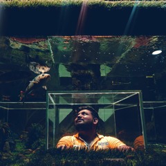 V.D Patel
