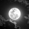 M$MUS F0RGUS🌕