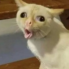 zer