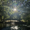 via