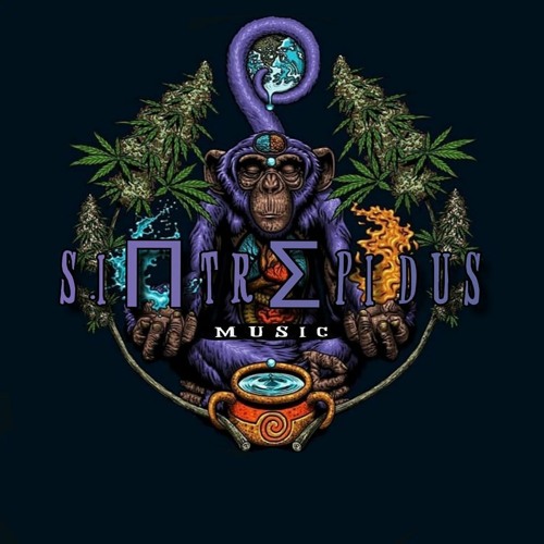 S.INTREPIDUS in the mix [Darkprog - Dark Forest Sounds]
