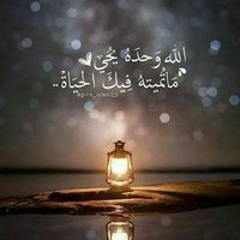 Walid Hassan