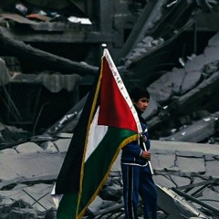 Basil Abu Aljoud
