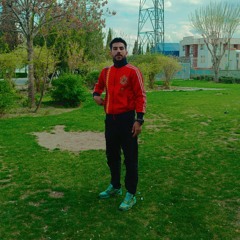 مجتبی قانعی
