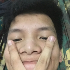 jsonph2022