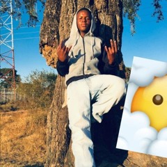 kode la Mayor🖐🏿