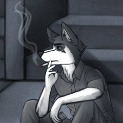 HUSKYTND1488