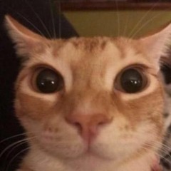 bababooey