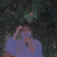 Anh Anh Trâm