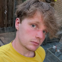 Daan