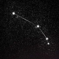 ARIES49