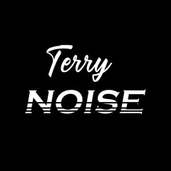Terry Noise