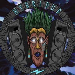 Hybridub