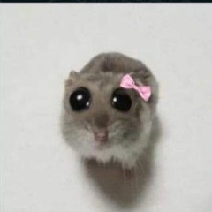 walaa shata(𝐋𝐨𝐥𝐲 🦋🤎)