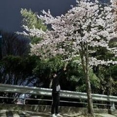 오승현