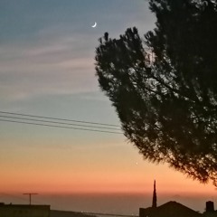 Qais Rimawi