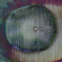 Blood Coloured Birds