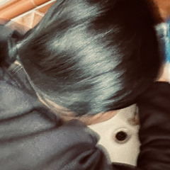 Lee.v_