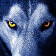 The official BangBang Brizzo sc (Da Wolf)