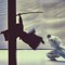 webm