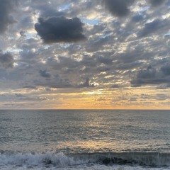 SF