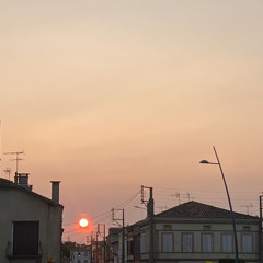 matteo malonni