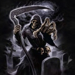 d3