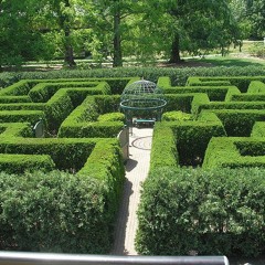 arhi maze