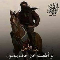 عبد التواب توبه